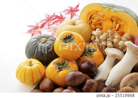 秋の食材 25519908