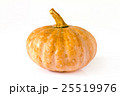 Pumpkin on white background 25519976
