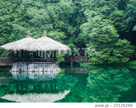 阿里山 屋外 野外 25520206