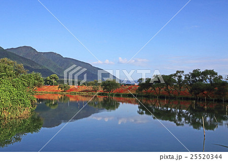 秋空と彼岸花 25520344