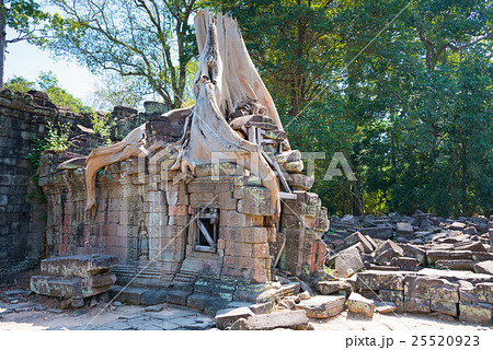 プリヤ・カーン(アンコール遺跡群) カンボジア・シェムリアップ プリヤ・カーン(アンコール遺跡群) カンボジア・シェムリアップ 25520923