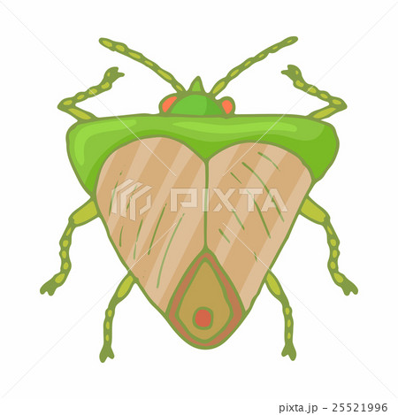 Insect bug icon, cartoon style 25521996