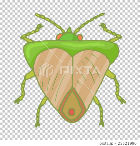 Insect bug icon, cartoon style 25521996