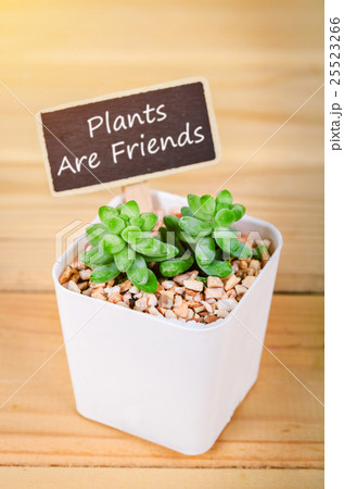 Cactus with plant are friends tag. 25523266