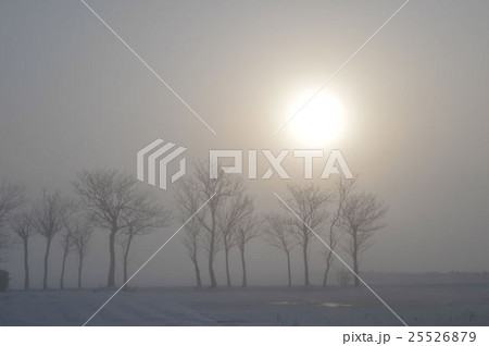 朝霧 朝霧 25526879