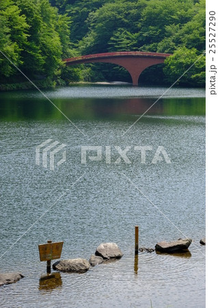 碓氷湖 25527290