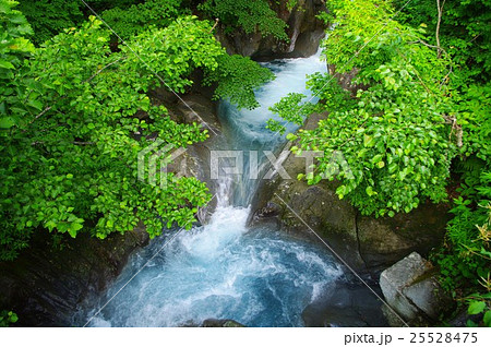 滝壺 25528475