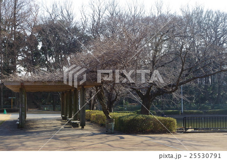 さぎ山記念公園 25530791