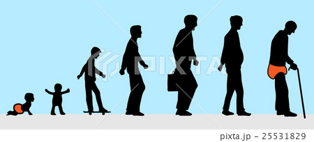 the man from young to old silhouette the man from young to old silhouette 25531829