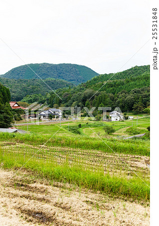 農村風景 農村風景 25531848