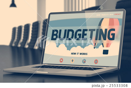 Budgeting on Laptop in Conference Hall. 3D. 25533308