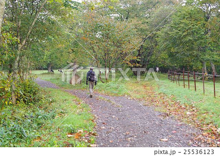 朝の戸隠牧場を行く登山者 朝の戸隠牧場を行く登山者 25536123