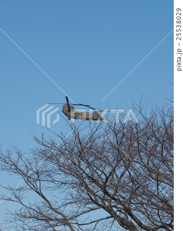 千葉県船橋市の習志野駐屯地で新春に行われる降下訓練始めで青空を飛行する大型輸送用ヘリコプター 25538029