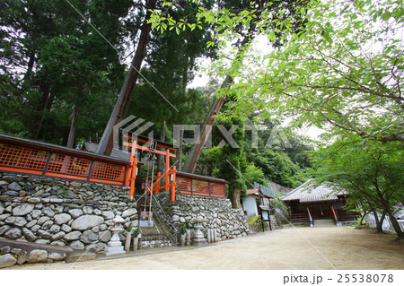 九度山町 椎出厳神社 九度山町 椎出厳神社 25538078