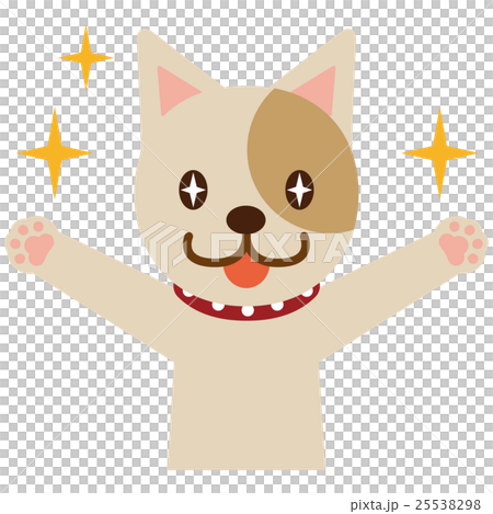 狗眼高興，眼睛閃閃發亮 25538298