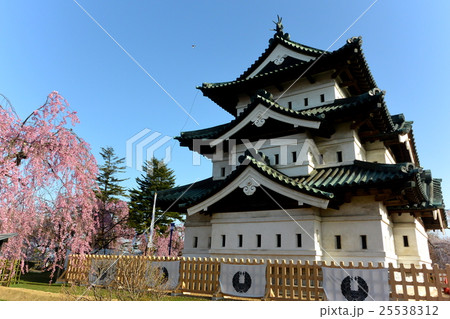 桜と弘前城 25538312