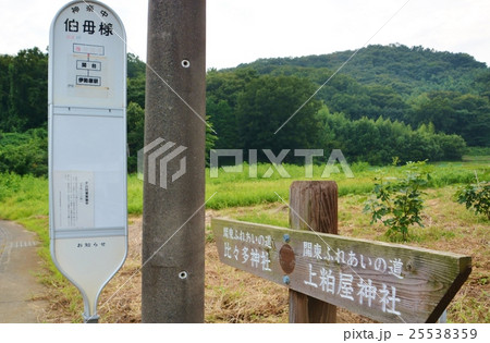 珍名バス停・伯母様 珍名バス停・伯母様 25538359