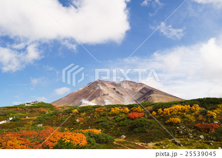 紅葉の大雪山 旭岳　姿見駅から 25539045