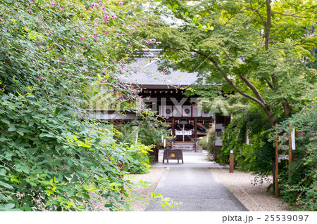 萩 - 梨木神社 25539097