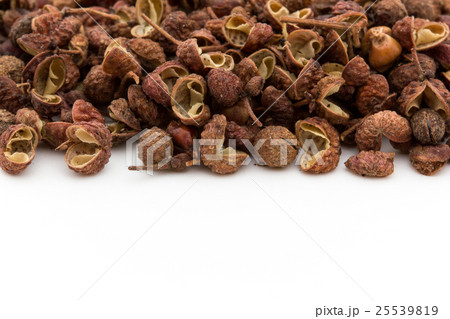 カホクザンショウ 花椒 カショウ 四川山椒: Sichuan pepper カホクザンショウ 花椒 カショウ 四川山椒: Sichuan pepper 25539819