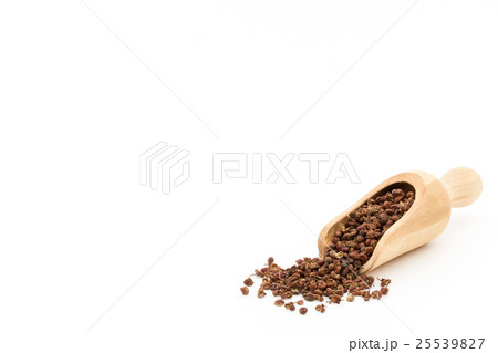 カホクザンショウ 花椒 カショウ 四川山椒: Sichuan pepper カホクザンショウ 花椒 カショウ 四川山椒: Sichuan pepper 25539827