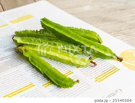 Four angle beans Four angle beans 25540304