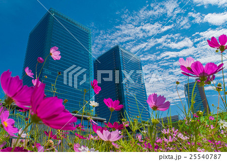 うめきたガーデンから見たグランフロント大阪 25540787