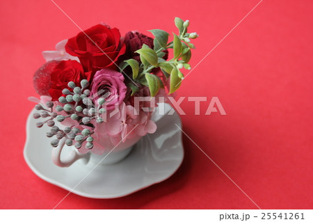 ブリザード ブリザード 25541261