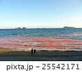 赤潮・自然現象 25542171