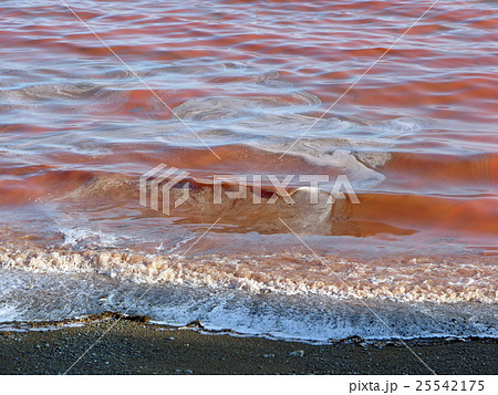 赤潮の写真素材 赤潮の写真素材