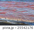 赤潮・波打ち際 25542176