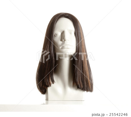 Mannequin Head with Wig. Mannequin Head with Wig. 25542246
