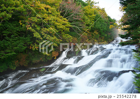 竜頭の滝 竜頭の滝 25542278