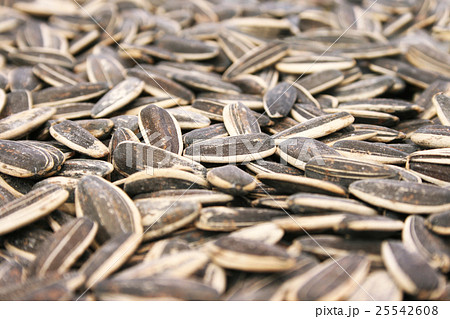 Sunflower seed 25542608