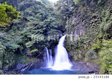 伊豆 河津七滝のひとつ 大滝 25543186