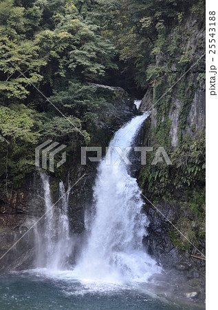 伊豆 河津七滝のひとつ 大滝 25543188