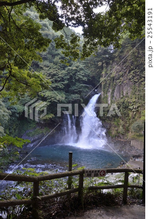 伊豆 河津七滝のひとつ 大滝 25543191