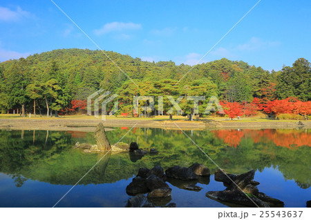 世界遺産 平泉 紅葉の毛越寺 世界遺産 平泉 紅葉の毛越寺 25543637