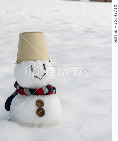 雪だるま 25543710
