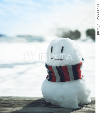 雪だるま 25543714