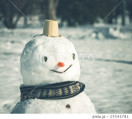 雪だるま 雪だるま 25543781
