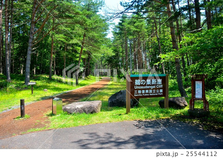 東北・三陸河岸・鵜ノ巣断崖　駐車場より　展望台へ続く遊歩道（２） 25544112