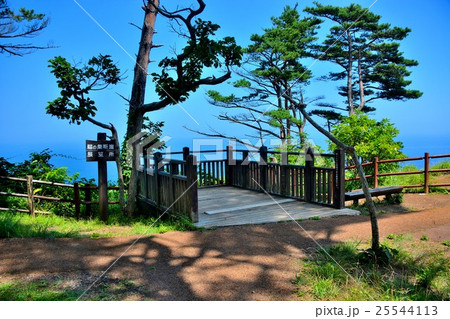 東北・三陸河岸・鵜ノ巣断崖　展望台（１） 25544113