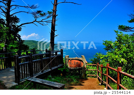 東北・三陸河岸・鵜ノ巣断崖　展望台と弁天崎方向の海岸線の眺め 25544114