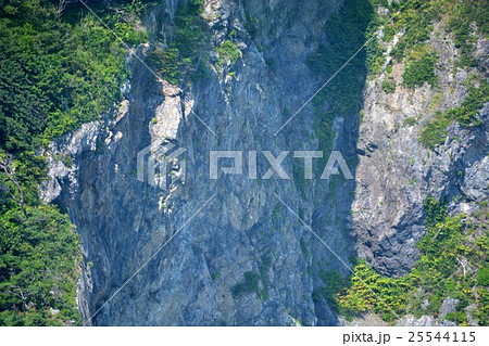 東北・三陸河岸・鵜ノ巣断崖　展望台より断崖にあるウミウの営巣地を望む（１） 25544115
