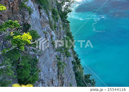 東北・三陸河岸・鵜ノ巣断崖　展望台より断崖にあるウミウの営巣地を望む（２） 25544116