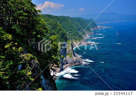 東北・三陸河岸・鵜ノ巣断崖　展望台よりウミウの営巣地を望む（１） 25544117