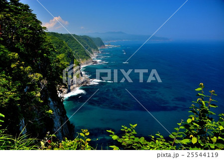 東北・三陸河岸・鵜ノ巣断崖　展望台よりウミウの営巣地を望む（３） 25544119