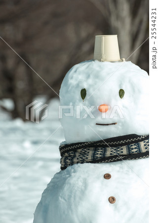 雪だるま 25544231