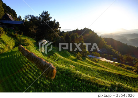 棚田の秋(奈良県宇陀市) 棚田の秋(奈良県宇陀市) 25545026